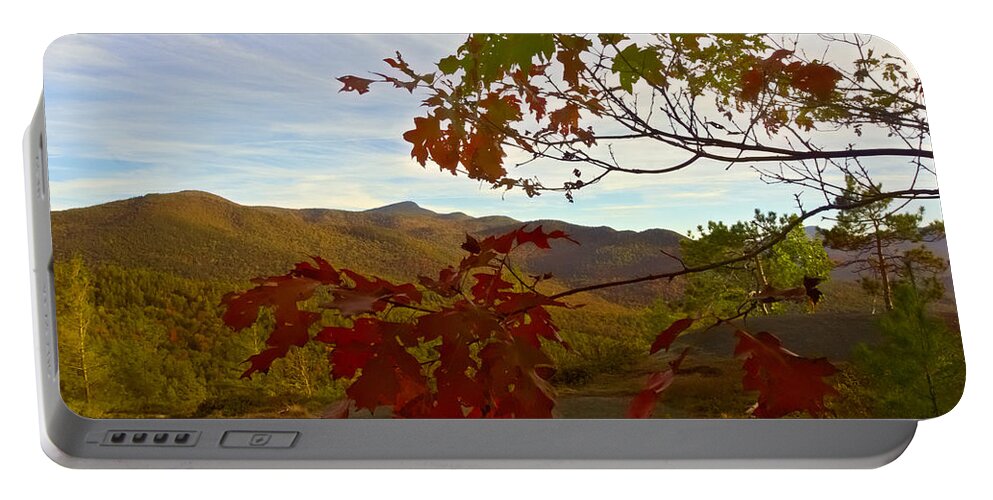 Autumn Portable Battery Charger featuring the photograph Framework by Amanda Jones