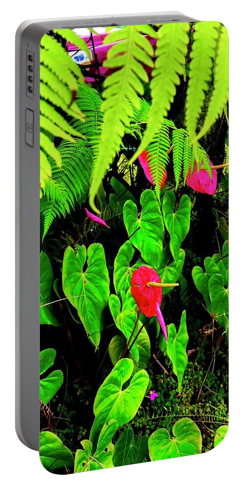 #anthuriums #flowersofaloha #francis #fern #aloha -#hawaii Portable Battery Charger featuring the photograph Francis Anthuriums with Fern by Joalene Young