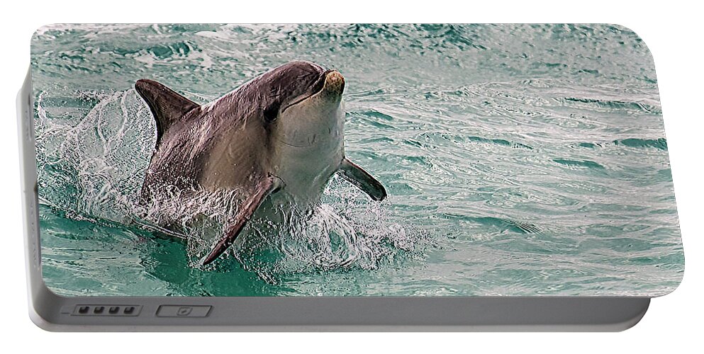 Dolphin Portable Battery Charger featuring the photograph Freedom by Catherine Reading