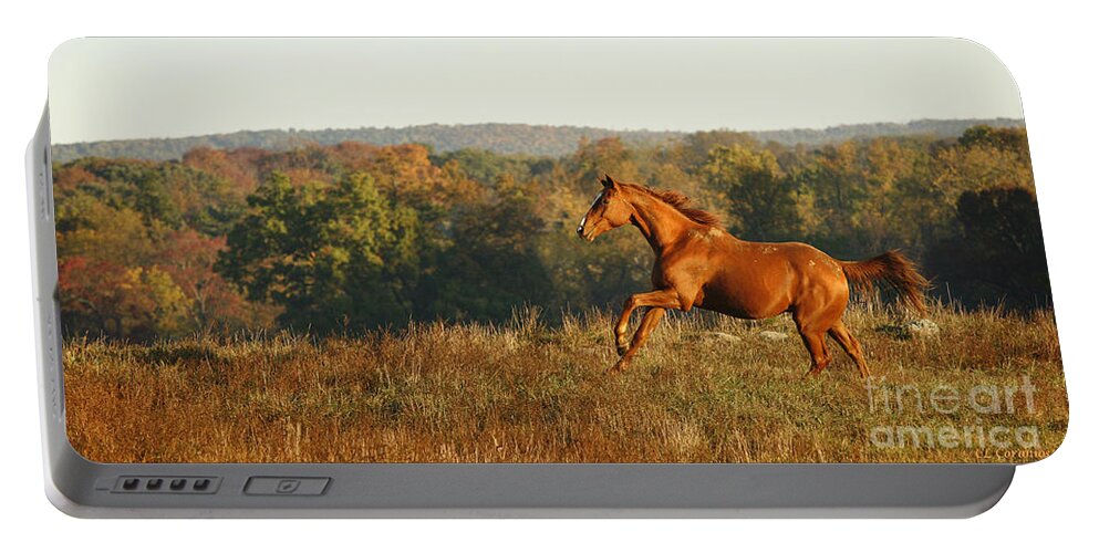 Horse Portable Battery Charger featuring the photograph Freedom in the Late Afternoon by Carol Lynn Coronios