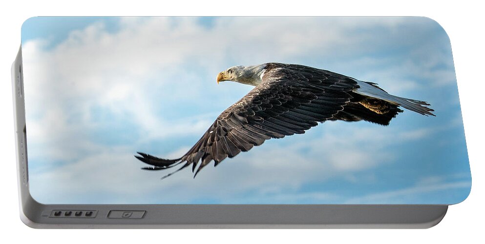 Bald Eagle Portable Battery Charger featuring the photograph Freedom by Jeanette Mahoney