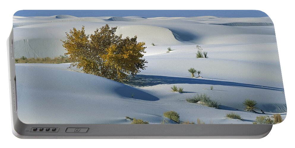 00198316 Portable Battery Charger featuring the photograph Fremont Cottonwood at White Sands by Konrad Wothe