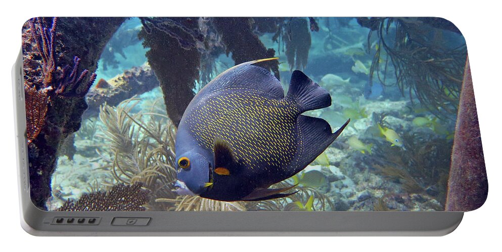 Underwater Portable Battery Charger featuring the photograph French Angelfish 2 by Daryl Duda