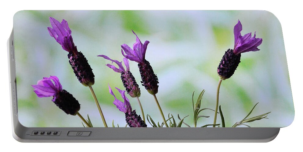 Lavender Portable Battery Charger featuring the photograph French Lavender by Terence Davis