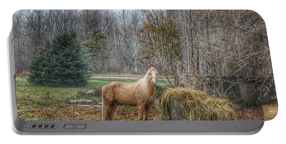 Landscape Portable Battery Charger featuring the photograph 1016 - Frenchline Road Carmel Mare I by Sheryl L Sutter