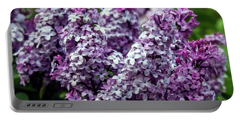 Garden Portable Battery Charger featuring the photograph Fresh And Fearless by Roselynne Broussard