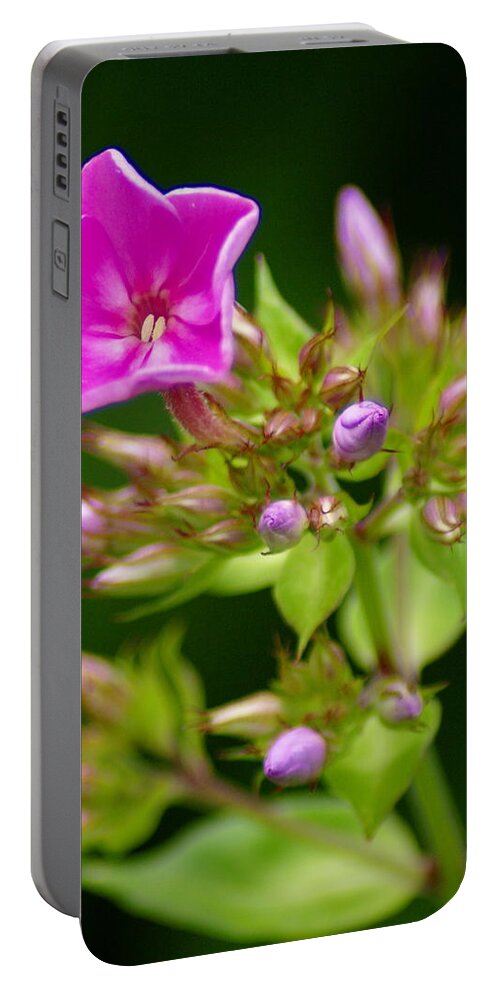 Flowers Portable Battery Charger featuring the photograph Fresh and Happy by Ben Upham III