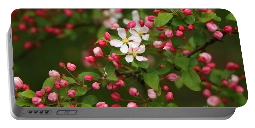 Flower Portable Battery Charger featuring the photograph Fresh Spring Apple Flowers by Elizabeth Dow