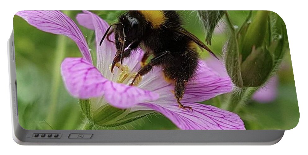 Bee Portable Battery Charger featuring the photograph Busy Bumble by Rowena Tutty