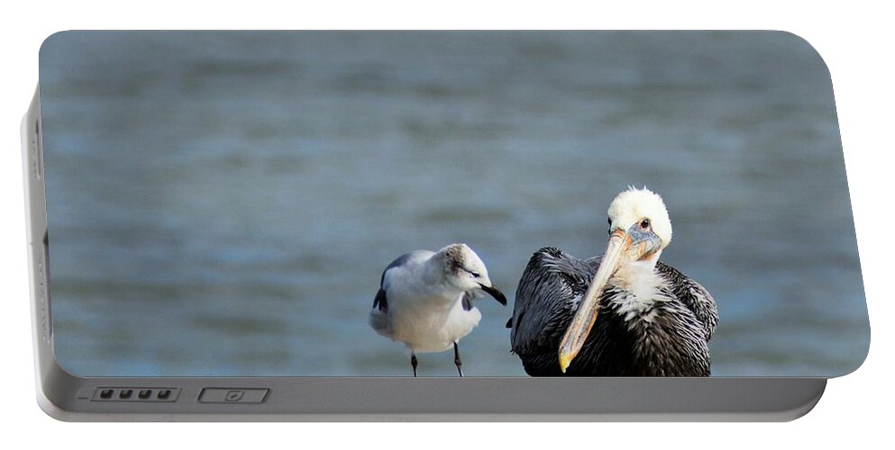 Sea Gull Portable Battery Charger featuring the photograph Friends Forever by Jan Gelders