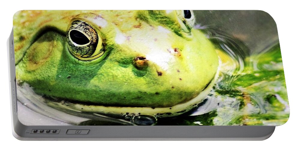 Frog Portable Battery Charger featuring the photograph Frog Close Up by Nick Gustafson