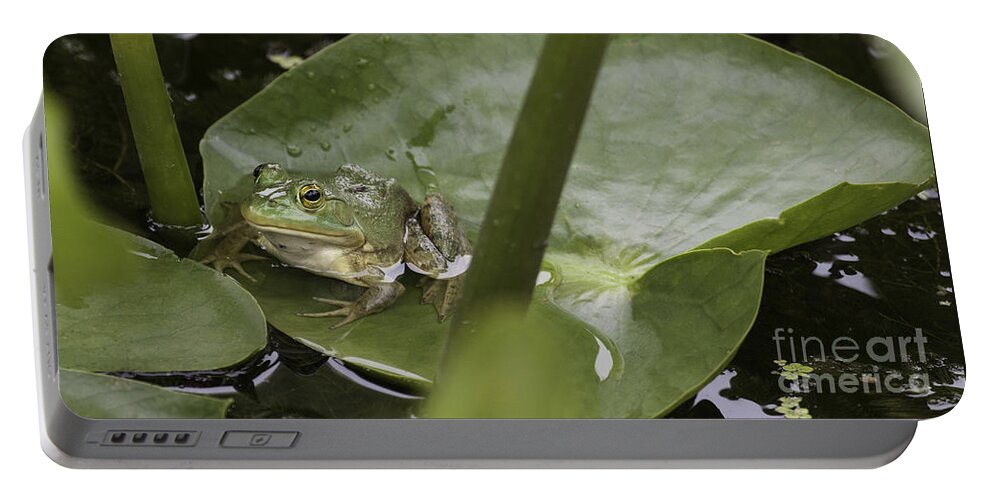 Frog Portable Battery Charger featuring the photograph Frog on a Lily Pad by Jeannette Hunt