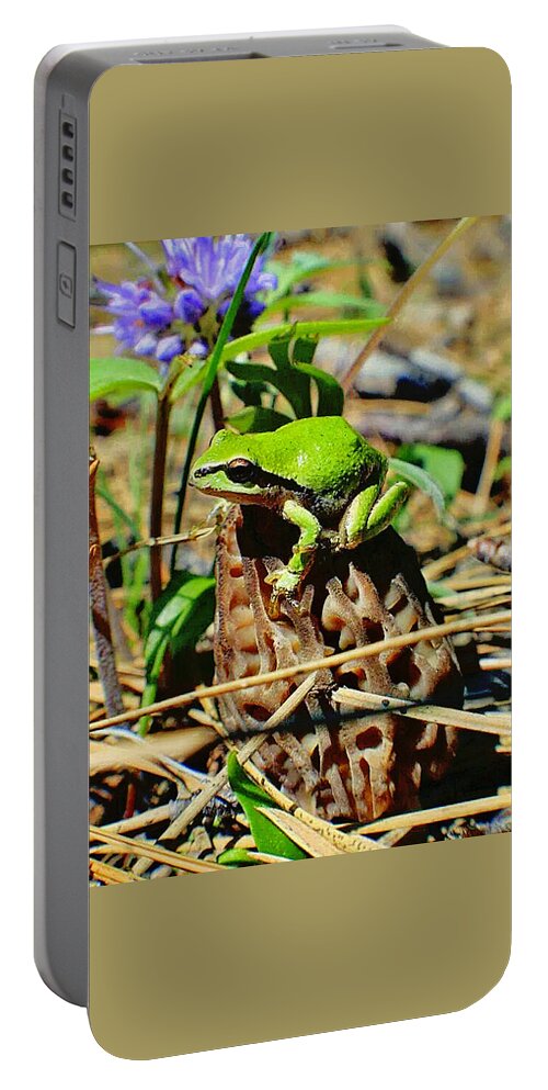 Morel Portable Battery Charger featuring the photograph Frog on a Morel by Bob Johnson
