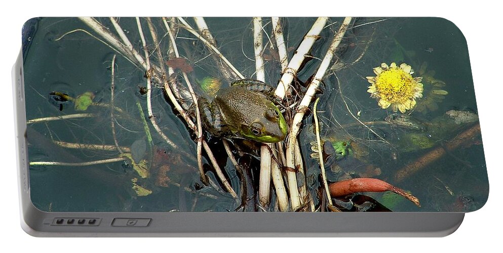 Frog Portable Battery Charger featuring the photograph Frog on a Stick by Robert Meanor
