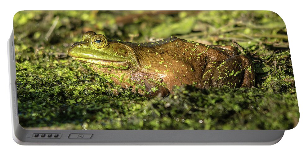 Cheryl Baxter Photography Portable Battery Charger featuring the photograph Frog Profile by Cheryl Baxter
