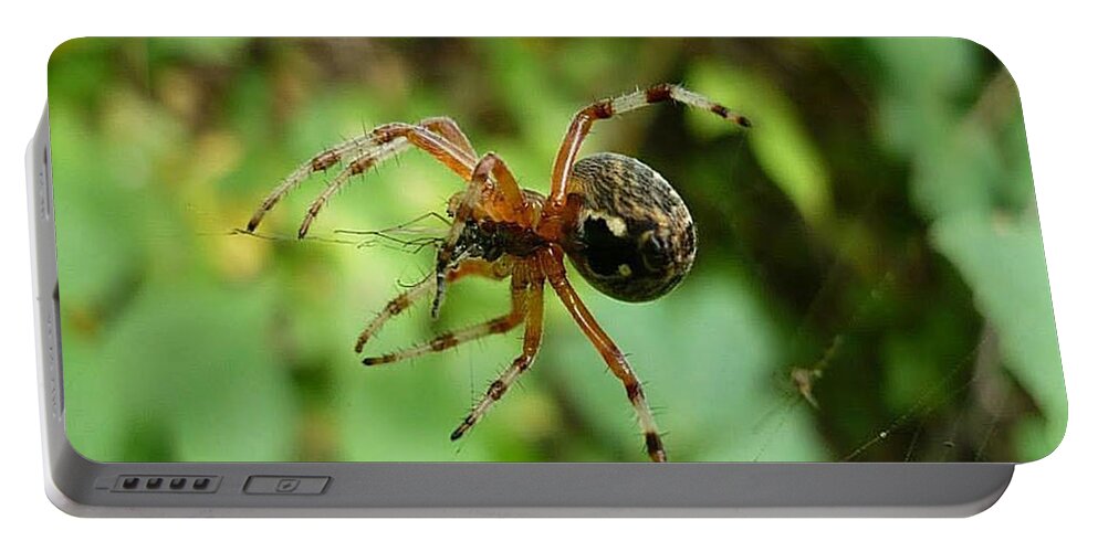 Spider Portable Battery Charger featuring the photograph From Under by 'REA' Gallery