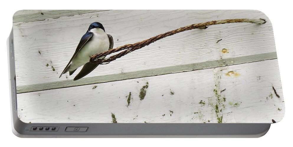 Tree Swallow Portable Battery Charger featuring the photograph From Up High by I'ina Van Lawick