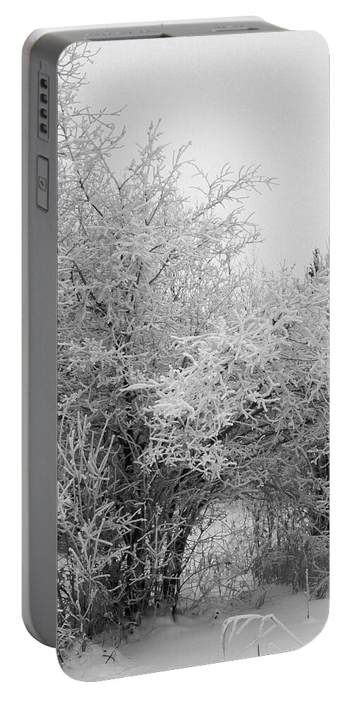 Trees Portable Battery Charger featuring the photograph Frost Coated Trees by Sandra Foster