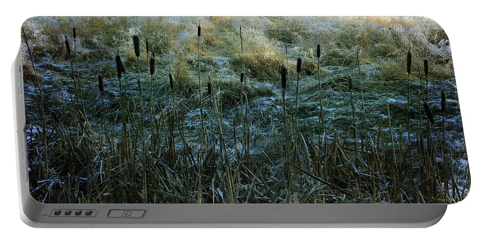 Plant Portable Battery Charger featuring the photograph Frost on the Ground by Randi Grace Nilsberg