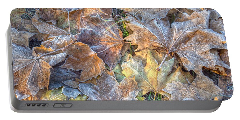 December Portable Battery Charger featuring the photograph Frosted Leaves 8x10 by Leah Palmer
