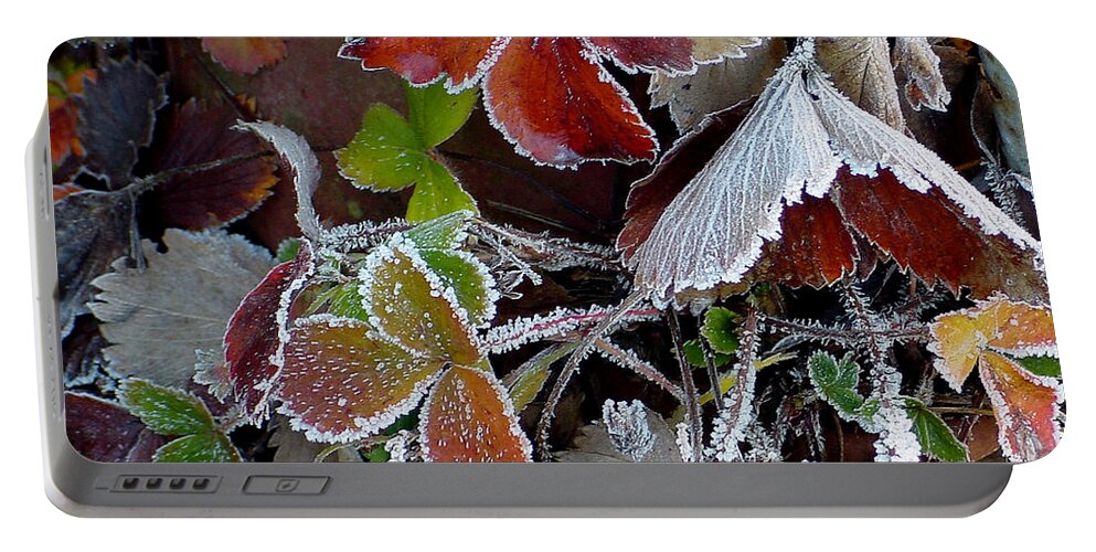 Red Portable Battery Charger featuring the photograph Frosted Strawberries by Shirley Heyn