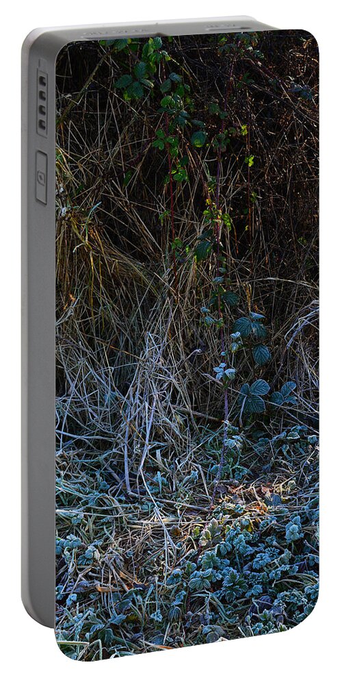 Dawn Frostings Portable Battery Charger featuring the photograph Frostings 2 by Paul Davenport