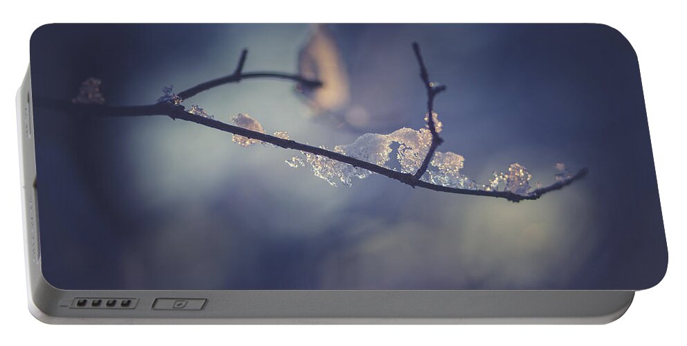 Tree Portable Battery Charger featuring the photograph Frosty Branch by Shane Holsclaw