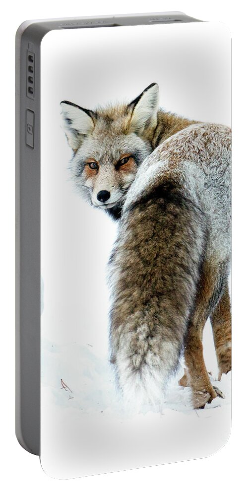 Cross Fox Portable Battery Charger featuring the photograph Frosty Fox by Deby Dixon