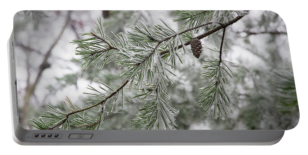 Frost Portable Battery Charger featuring the photograph Frosty Pinecone by Mike Eingle