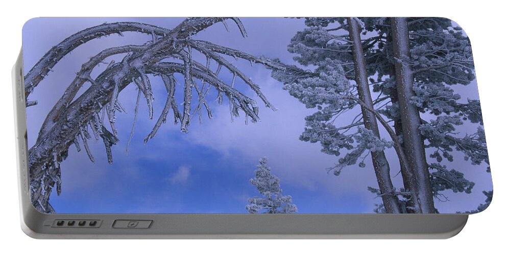 Frost Portable Battery Charger featuring the photograph Frosty Pines - Minaret Summit Lookout by Soli Deo Gloria Wilderness And Wildlife Photography