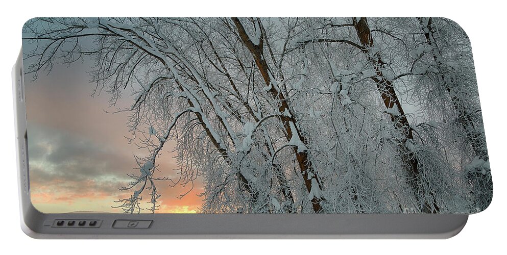 Bonners Ferry Portable Battery Charger featuring the photograph Frosty Sunrise by Idaho Scenic Images Linda Lantzy
