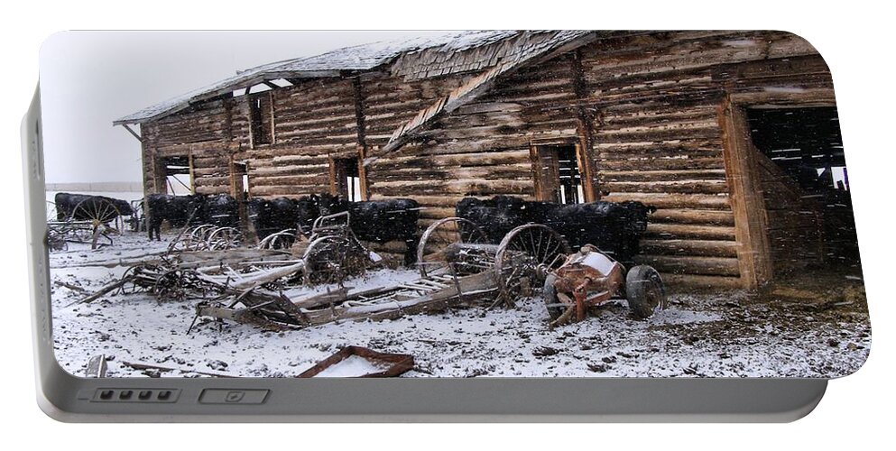 Cattle Portable Battery Charger featuring the photograph Frozen Beef by Susan Kinney