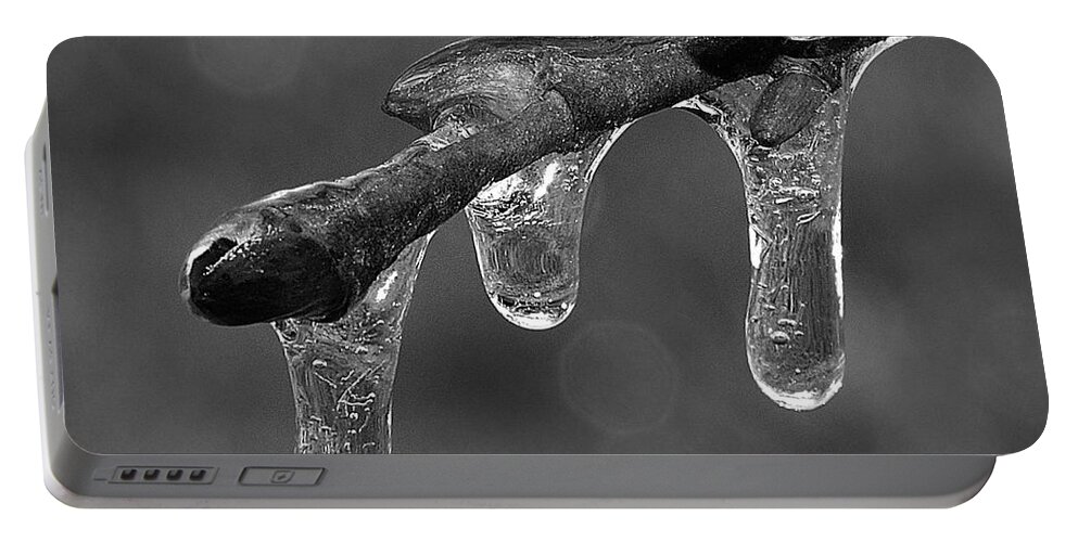 Ice Portable Battery Charger featuring the photograph Frozen In Time by Mark Fuller