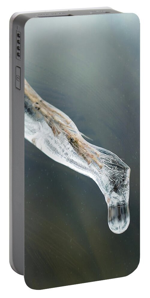 Crystal Portable Battery Charger featuring the photograph Frozen Pampas Grass Plume by Robert FERD Frank