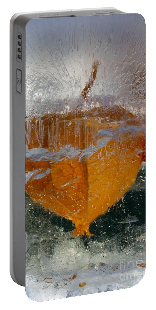 Detail Portable Battery Charger featuring the photograph Frozen Pop Cherry by Michal Boubin