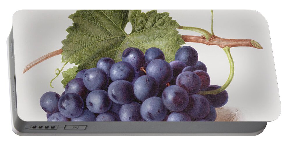 Purple Portable Battery Charger featuring the painting Fruit of the Vine by Augusta Innes Withers