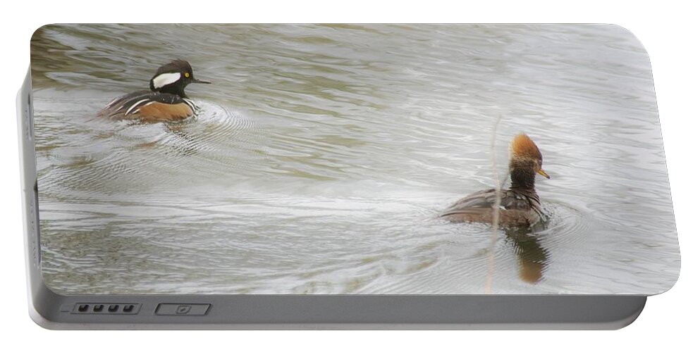 Ducks Portable Battery Charger featuring the photograph Full Steam Ahead by Merle Grenz