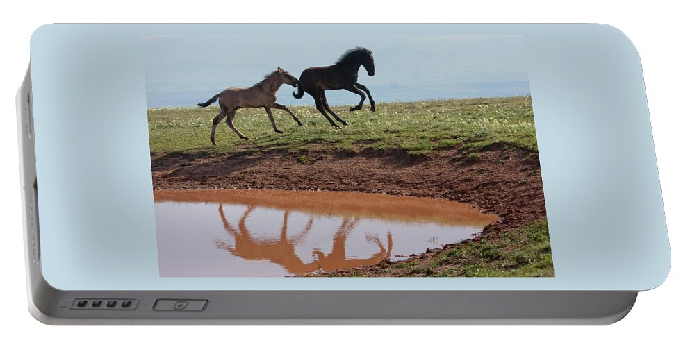 Wild Horse Portable Battery Charger featuring the photograph Fun in the Rockies- Wild Horse Foals by Mark Miller