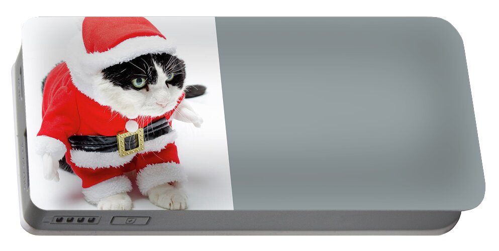 Cat Portable Battery Charger featuring the photograph funny Christmas kitten by Benny Marty