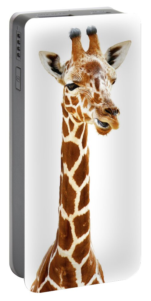 Giraffe Portable Battery Charger featuring the photograph Funny Giraffe by Athena Mckinzie