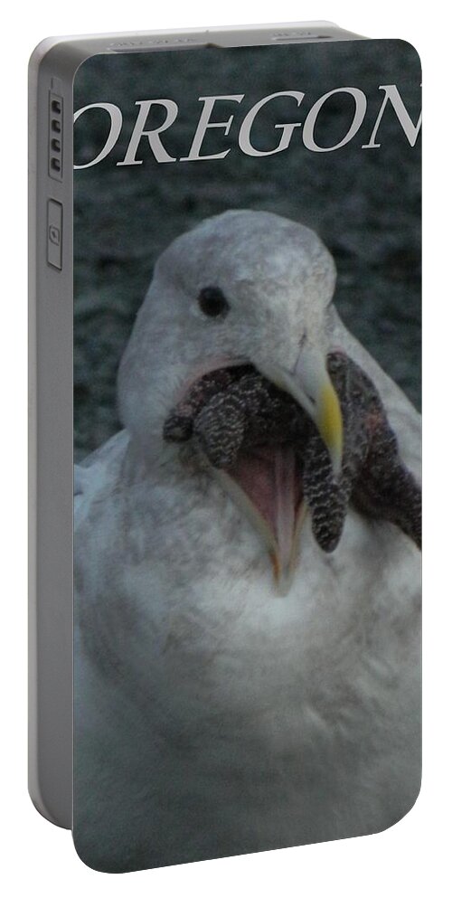 Starfish Portable Battery Charger featuring the photograph Funny Seagull With Starfish by Gallery Of Hope 