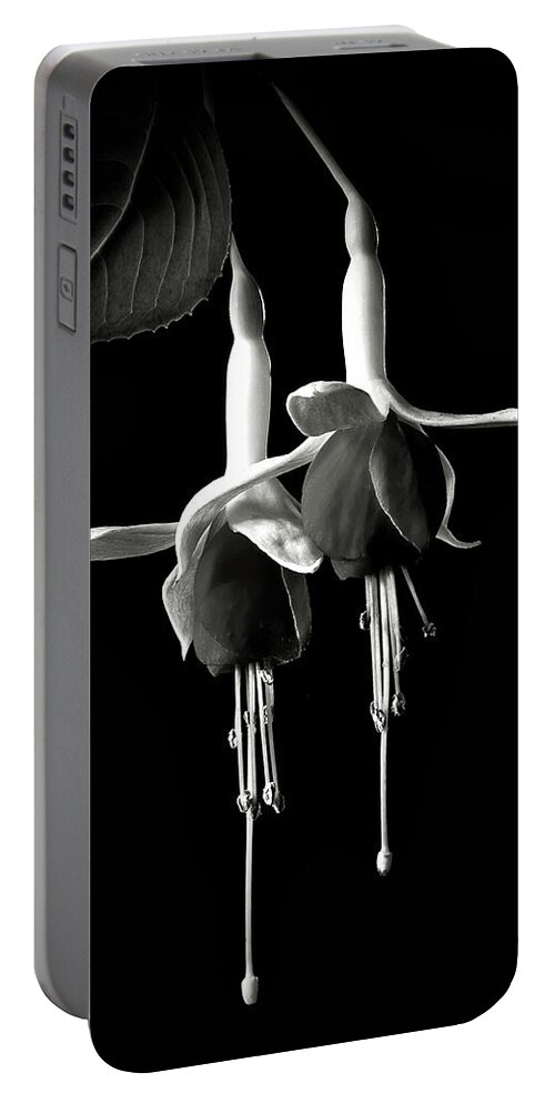 Flower Portable Battery Charger featuring the photograph Fuchsias in Black and White by Endre Balogh