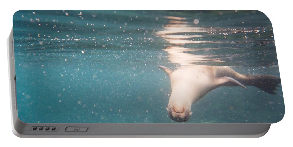 The Galapagos Islands Portable Battery Charger featuring the photograph Galapagos Sealion by AJ Harlan