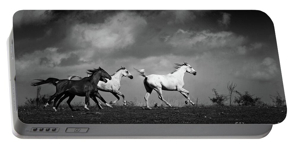 Horse Portable Battery Charger featuring the photograph Galloping white horses Black and White by Dimitar Hristov