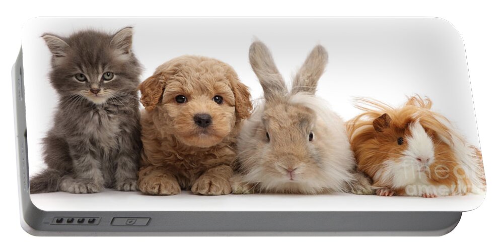 Guinea Pig Portable Battery Charger featuring the photograph Gang of Four by Warren Photographic