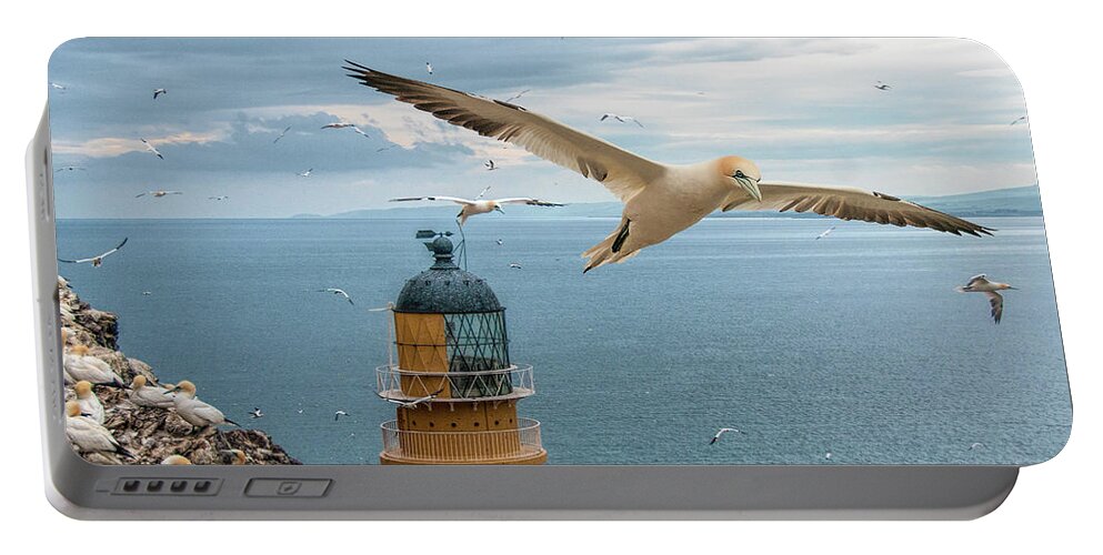 Gannets Portable Battery Charger featuring the photograph Gannets at Bass Rock Lighthouse by Brian Tarr