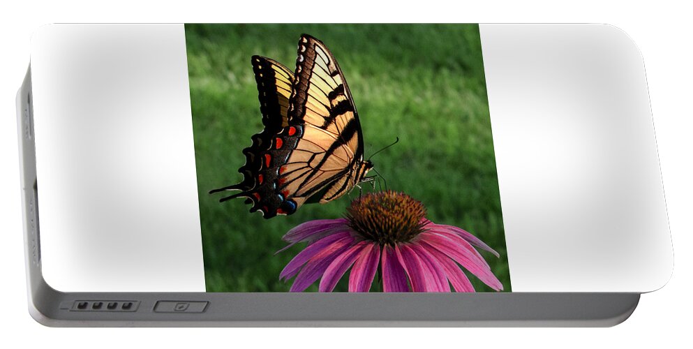 Swallowtail Portable Battery Charger featuring the photograph Garden Dancer by Don Spenner