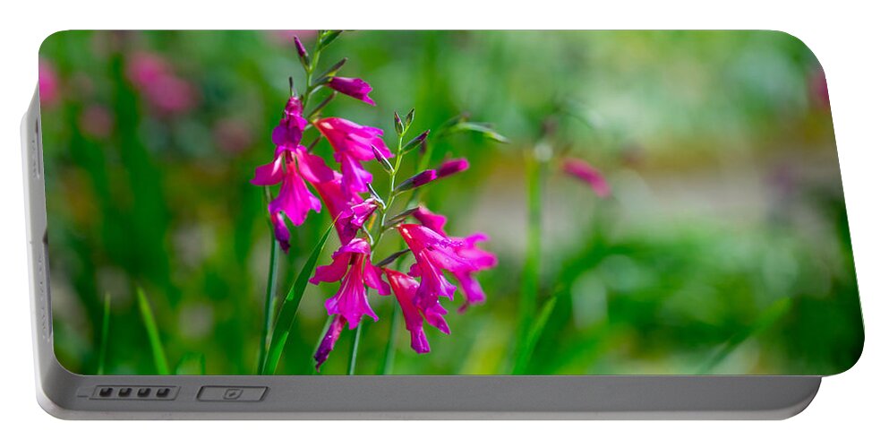 Flower Portable Battery Charger featuring the photograph Garden Greeting by Derek Dean