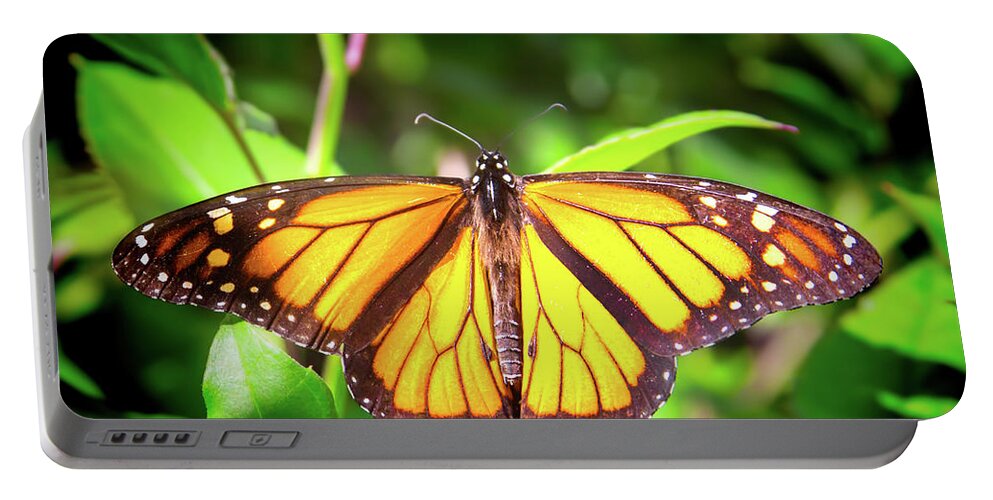 Butterfly Portable Battery Charger featuring the photograph Garden of the Monarch by Mark Andrew Thomas