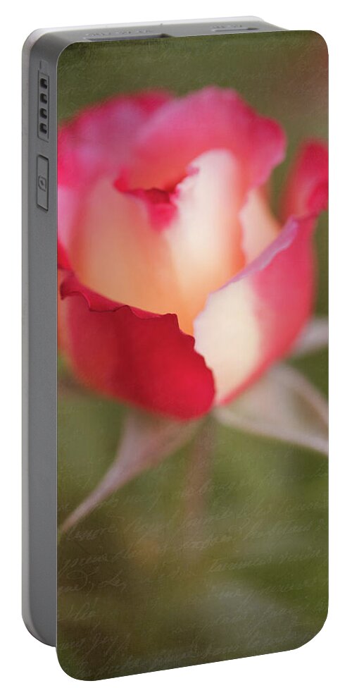 Flower Portable Battery Charger featuring the photograph Garden Rose by Teresa Wilson
